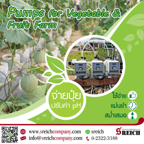 Dosing pump ปั๊มจ่ายปุ๋ยในระบบน้ำแก่พืชผล ผัก อย่างมีประสิทธิภาพ 