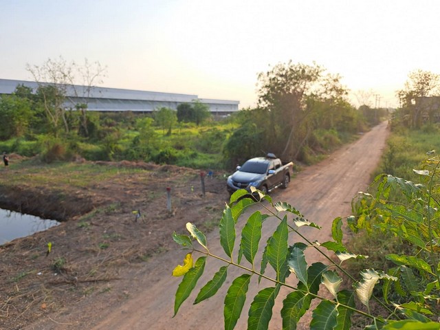 ที่ดิน2ไร่ พร้อมโฉนดครุฑแดง คลอง6 คลองหลวง จ.ปทุมธานี