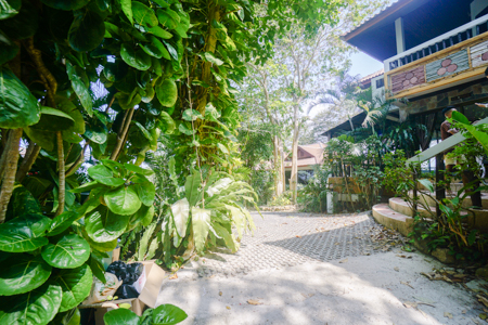 Apartment 1nd Floor For Rent Sea View 2bed 2bath chaweng bophut koh samui