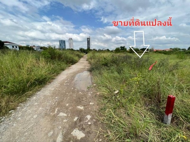 พื้นที่ดิน ที่ดิน ซอยวัดปลัดเปรียง ถนนบางนาตราด ต.บางแก้ว อ.บางพลี สมุทรปราการ 200 Square Wah 10000000 BAHT. ใกล้กับ ห้างเมกะบางนา คุ่มค่า รูปที่ดินแปลงสี่เหลี่ยมผืนผ้า