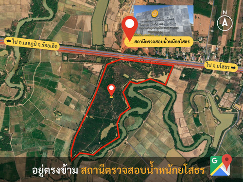 ขาย!ที่ดิน 172 ไร่ + 30 ไร่ ติดถนนใหญ่ ตรงข้ามจุดชั่งน้ำหนักยโสธร เมืองยโสธร จ.ยโสธร