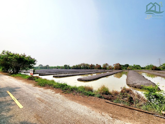 ขายที่ดินคลอง 12 หนองเสือ 14 ไร่ ติดถนนลาดยางในซอย เป็นร่องสวน เหมาะปลูกบ้าน ทำสวน ทำการเกษตร อยู่ใกล้แหล่งชุมชน ใกล้ตลาด