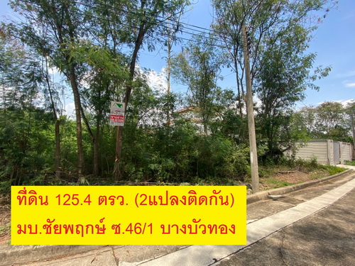 ขายที่ดินใน หมู่บ้านชัยพฤกษ์ ซ.46/1 125.4 ตรว. (2 แปลง) อ.บางบัวทอง จ.นนทบุรี