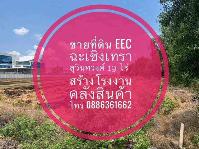 For Sale Land EEC in Chachoengsao,Thailand ขายที่ดิน EEC ฉะเชิงเทรา สร้างโรงงาน คลังสินค้าฯ