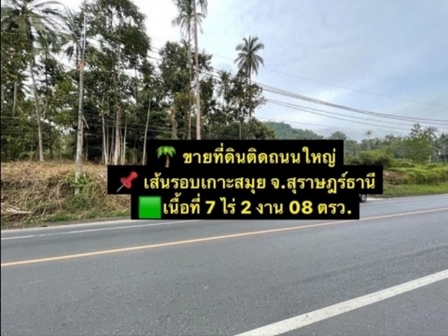 ให้แจ้งรหัส ZS04-001 ขายที่ดินติดถนนใหญ่ ต.หน้าเมือง อ.เกาะสมุย พื้นที่ 7 ไร่ 2 งาน 08 ตรว.