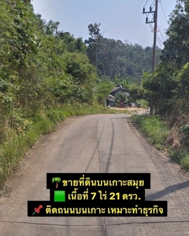 ให้แจ้งรหัส ZS04-002 ขายที่ดินบนเกาะสมุย พื้นที่ 7 ไร่ 21 ตรว.