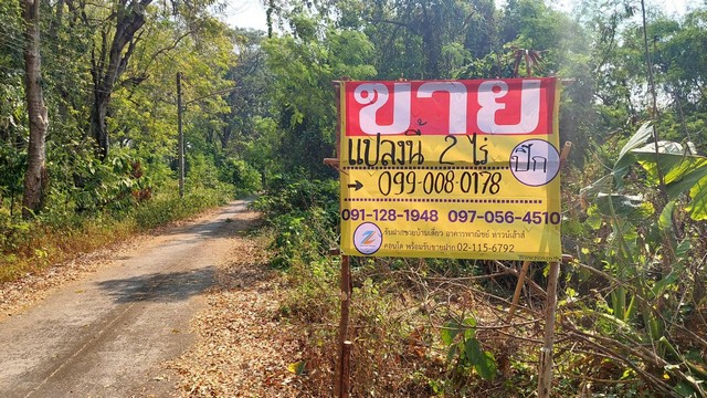 ขายที่ดินติดริมโขง 2ไร่ บ้านบอน ใกล้วัดเหล่าสินชัย ต.หาดคำ อ.เมือง จ.หนองคาย ZP003