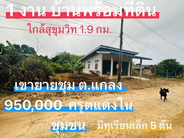 บ้านพร้อมที่ดินพื้นที่ 100 ตรว. ใกล้คอนกรีต50ม.ต.แกลง อ.เมือง จ.ระยอง