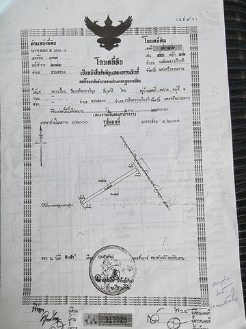 ขายที่ดินพร้อมสิ่งปลูกสร้าง อำเภอเฉลิมพระเกียรติม จังหวัดนครศรีธรรมราช ขนาด 1 ไร่ 25 ตารางวา