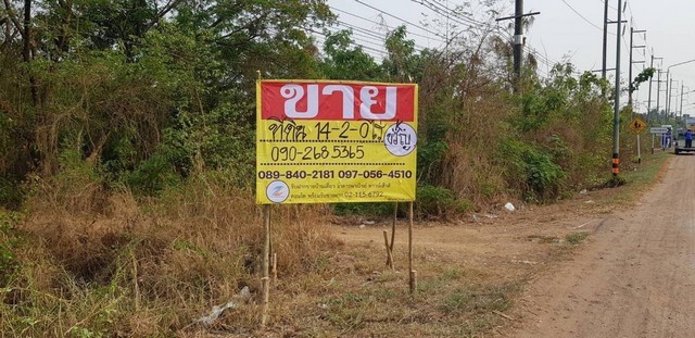 ขายที่ดิน14-2-0ไร่ ติดสะพานพระธาตุพังพวน สายท่าบ่อ-หนองสองห้อง อ.เมืองหนองคาย จ.หนองคาย ZW142