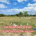 ขาย-ให้เช่า ที่ดินเปล่า 3 ไร่ ชะอำ เพชรบุรี ที่สวย ใกล้หัวหิน