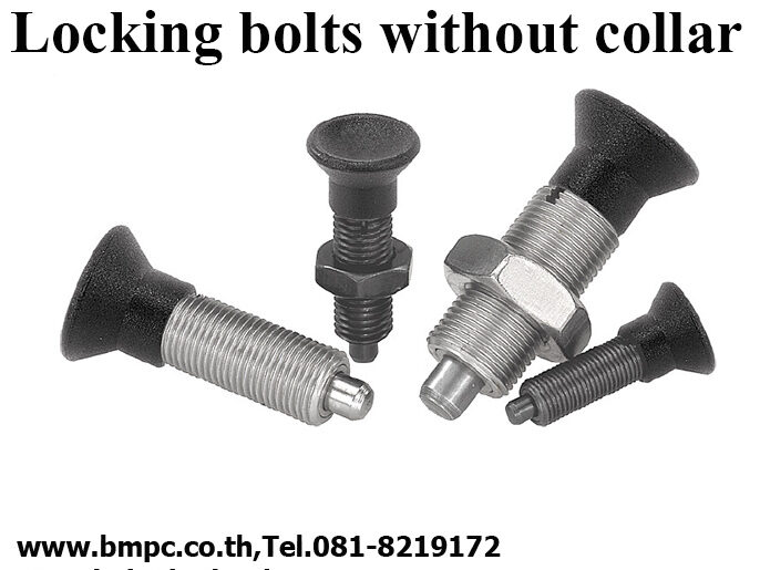 Index plunger, Position lock bolt, PIN lock, Index plug, อินเด็ดพลั้งเจอร์, สลัก, รับซ่อมเกลียวเตรื่องจักร