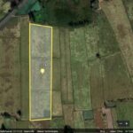 ขายที่ดินเปล่า อ.เชียงขวัญ จ.ร้อยเอ็ด เนื้อที่ 9 ไร่ 6 ตร.ว. เหมาะกับการทำโกดังเก็บสินค้า ทำหมู่บ้านจัดสรร โทร 0629515646