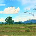 ขายที่ดิน 365ว. 700,000บ. วิวเขา หลังที่ว่าการอำเภอบ้านธิ ลำพูน