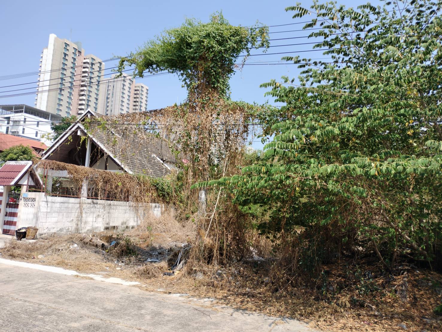 LAND FOR SELL!! ขายที่ดินเปล่า 75 ตรว. ในเมืองทองธานี
