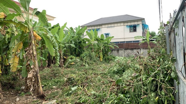 ขายที่ดิน เขตพระโขนงสุขุมวิท 101/1 ซอยวชิรธรรมสาธิต 53
