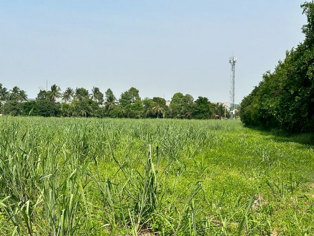 ขายที่ดินเปล่า (สีม่วงลาย) ใกล้นิคิม WHA -ปิ่นทอง5 เขาคันทรง