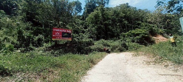 ขายที่เปล่าภูเก็ต ที่ดินอำเภอกะทู้ ภูเก็ต…ที่ภูเก็ตวิวภูเขา