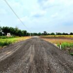 ขายที่ดิน 100 ตรว องครักษ์ คลอง 15 เจ้าของขายเอง ค่ะ