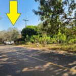 ขายสวนผลไม้พร้อมสวนยางพาราทองผาภูมิ กาญจนบุรี