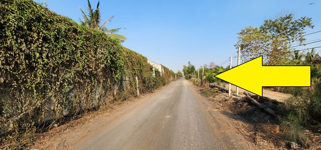 ขายที่ดิน คลอง 9 หนองเสือ 19 ไร่