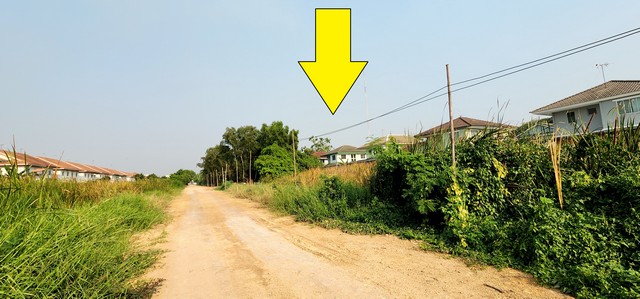 ขายที่ดินลำลูกกา คลอง4 เนื้อที่ 1 ไร่