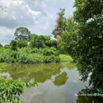 ขายที่ติดแม่น้ำนครนายก ต.บ้านใหญ่ อ.เมืองนครนายก