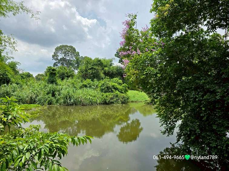 ขายที่ติดแม่น้ำนครนายก ต.บ้านใหญ่ อ.เมืองนครนายก