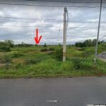 ที่ดินนาเกือบ5ไร่ 7ล. บายพาสขี้เหล็กใหญ่ ต.ในเมือง เมือง ชัยภูมิ