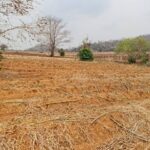 พฤษภาแห่งการซื้อที่ดินสวยๆ ขาย/เช่า ที่ติดภูเขา อ.เมือง จ.นครสวรร