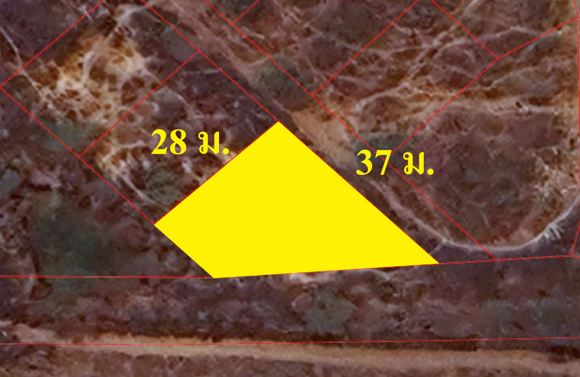 ขายที่ดินเปล่า 169 ตรว. ใกล้มหาวิทยาลัยศิลปากรวิทยาเขตเพชรบุรี