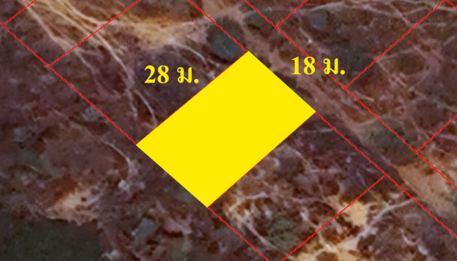 ขายที่ดินเปล่า 116 ตรว. ใกล้มหาวิทยาลัยศิลปากรวิทยาเขตเพชรบุรี