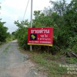 ขายที่ตราดที่เปล่าแหลมกลัด ใกล้ทะเลติดคลองสน