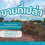 ขายที่ดิน 2 แปลง อุดรธานี 130 ตร.ว.และ 63 ตร.ว.