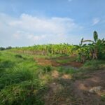 ขายที่ดินเปล่า 36ไร่ 3งาน 40.1ตารางวา บางปลากด คลอง29 จ.นครนายก