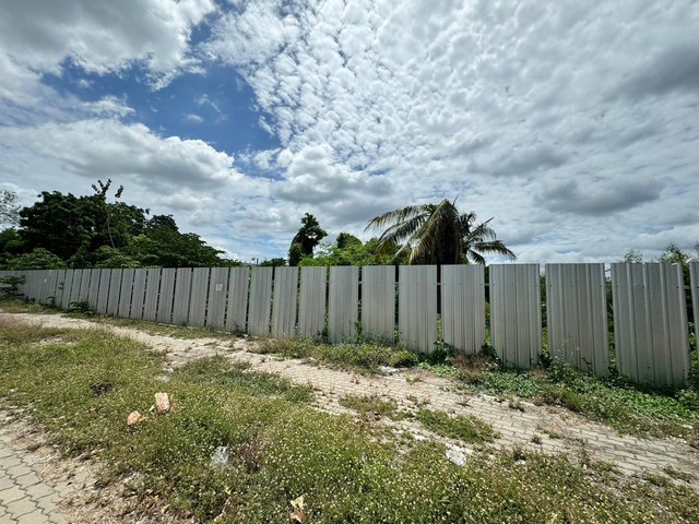 ขายที่ดินติดถนน​พุทธมณฑล ซื้อที่สวย…ทำเลดี