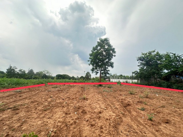 ขายที่ดินเปล่าทำเลดีมาก อ.ปากช่อง จ.นครราชสีมา พื้นที่ : 199.2 ต