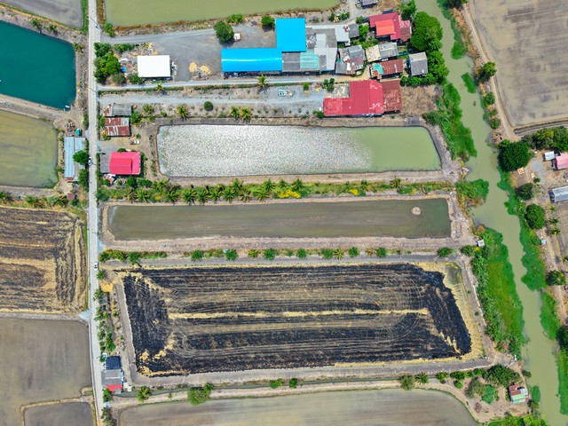 ที่ดิน 4ไร่ 2งาน 96ตารางวา ดอนลาน อำเภอผักไห่ จังหวัดพระนครศรีอย