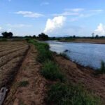 พฤษภาแห่งซื้อทรัพย์ ขายที่สวยติดแม่น้ำน่าน อ.ท่าวังผา น่าน 09688