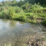 พฤษภาแห่งซื้อทรัพย์ ขายที่ดินติดลำธาร น้ำมวบ ใสไหลชุ่มฉ่ำตลอดปี จ