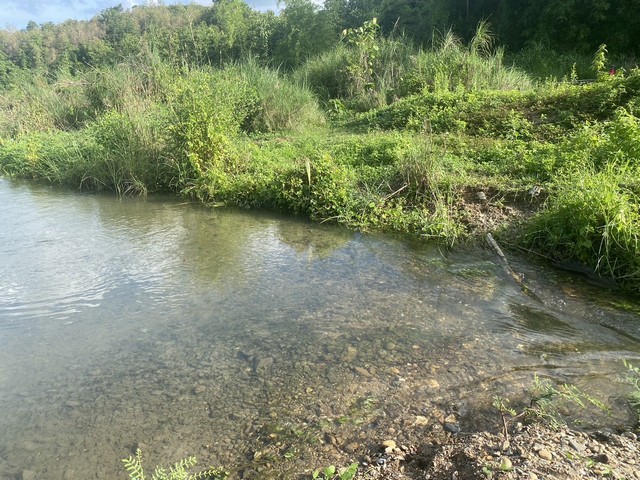 พฤษภาแห่งซื้อทรัพย์ ขายที่ดินติดลำธาร น้ำมวบ ใสไหลชุ่มฉ่ำตลอดปี จ