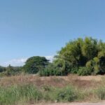 พฤษภาคมแห่งการซื้อทรัพย์สวย ขายที่ติดน้ำโขง ต.กุดบง โพนพิสัย หนอง