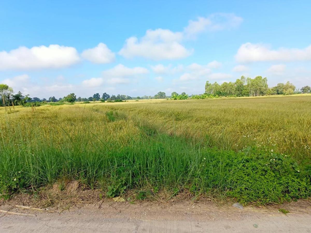 ขายด่วน…ที่นา อ.ดอกคำใต้ จ.พะเยา วิวเขา มีน้ำตลอดปี อากาศดีมาก ฮวงจุ้ยดี โทร 099-1961001