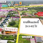 ขายที่ดินเกือบ9ไร่ 20ล. ถูกกว่าประเมิน ต.หนองหนาม เมือง ลำพูน