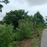 ที่ดิน 102 – 1 – 63.5 ไร่ สกลนคร