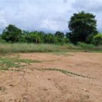 ขายที่ถมแล้ว ขายถูก เนื้อที่ 200 ตรว. ต.ท่าข้าม อ.พนัสนิคม จ.ชล