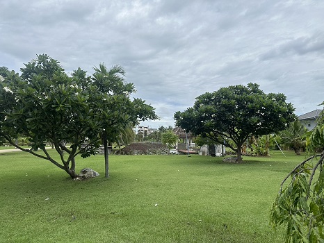 ให้เช่าที่ดินแปลงสวย ติดถนนท่าข้าม เพียง ไร่ละ 23,000 บาท