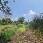 ขายที่ดิน ลาดกระบัง ร่มเกล้า ใกล้สนามบิน ต่ำกว่าประเมิน ด่วน