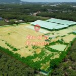 ขายโรงงานนิคมพัฒนาระยอง 40 ไร่ 35 ตารางวา