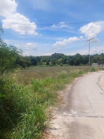 ขายที่ดินผังม่วงมาบยางพรระยองบนเนื้อที่ 5 ไร่